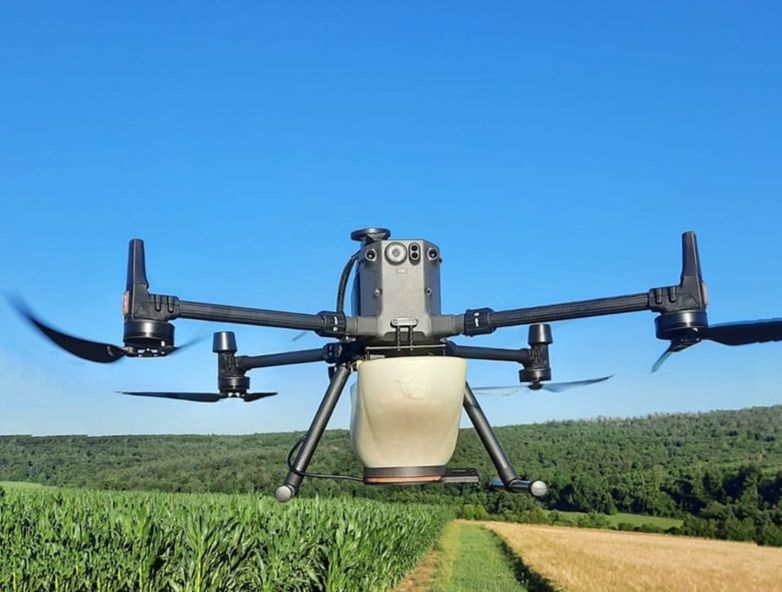 Largage de trichogrammes