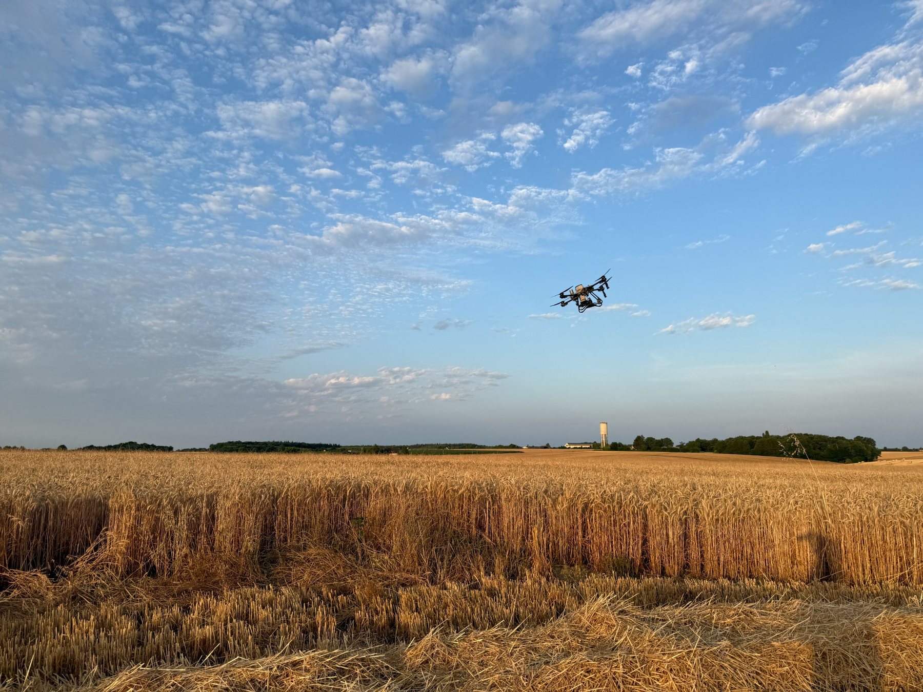 Semis de couverts par drone