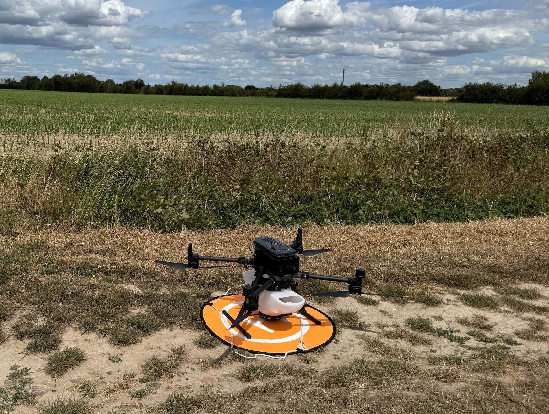 Largage de trichogrammes par drone