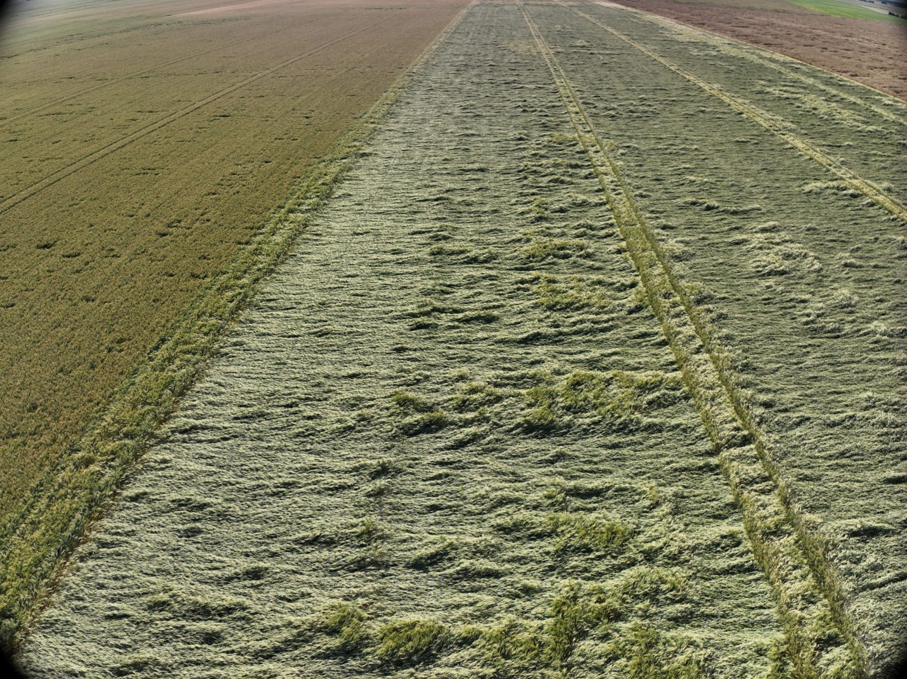 Analyse de dégâts par drone
