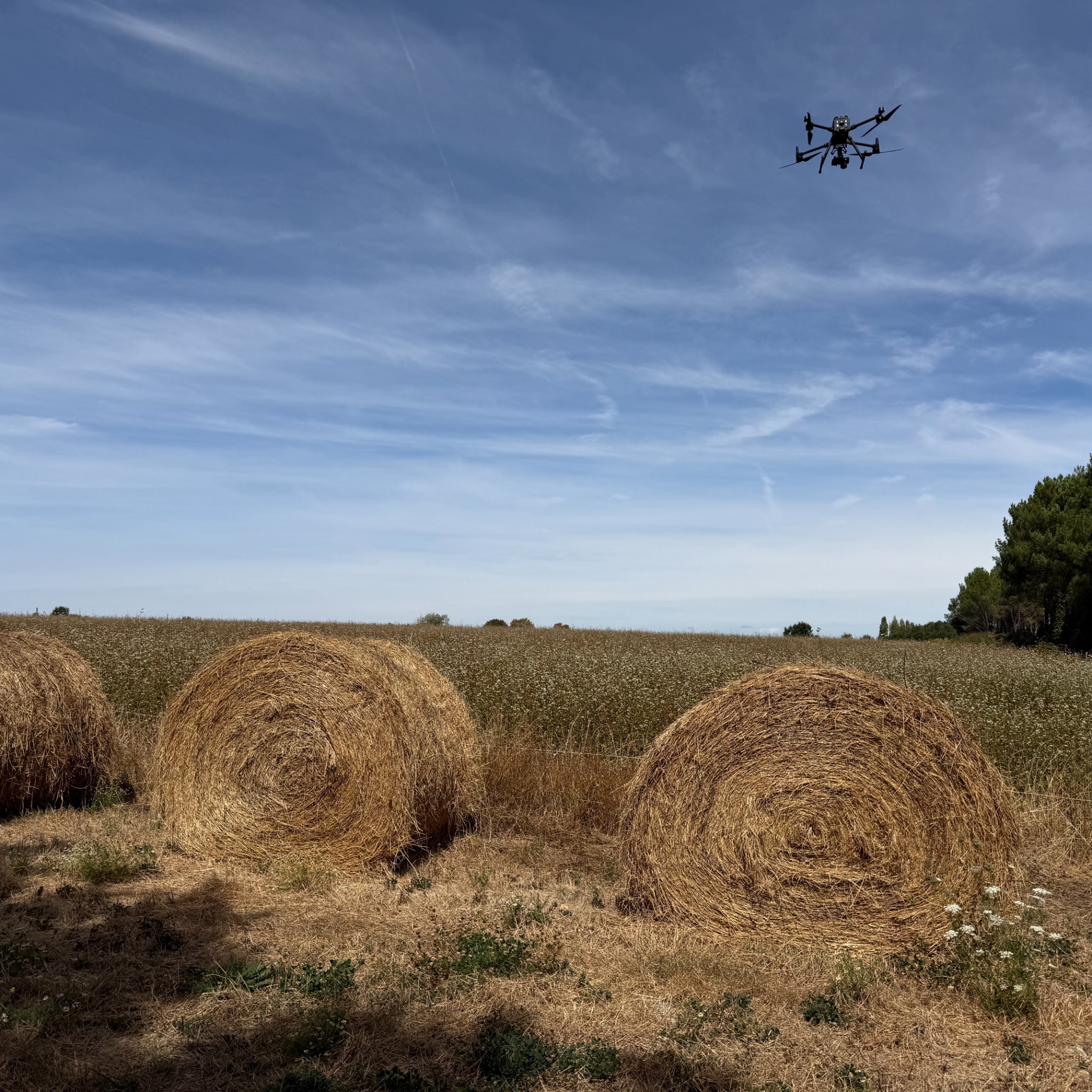 Vue de culture depuis un drone en mission