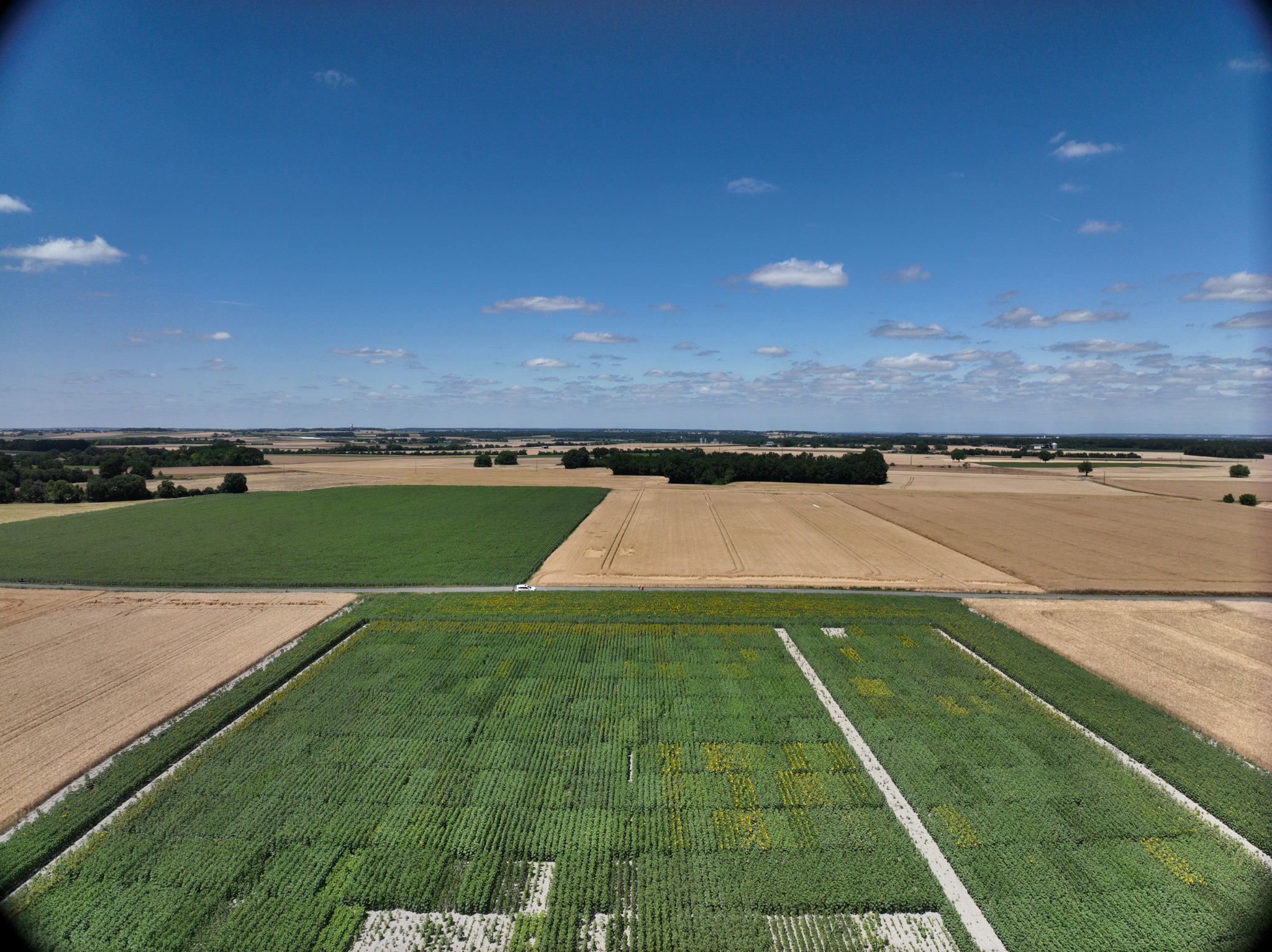 Paysage agricole et parcelles observés par drone