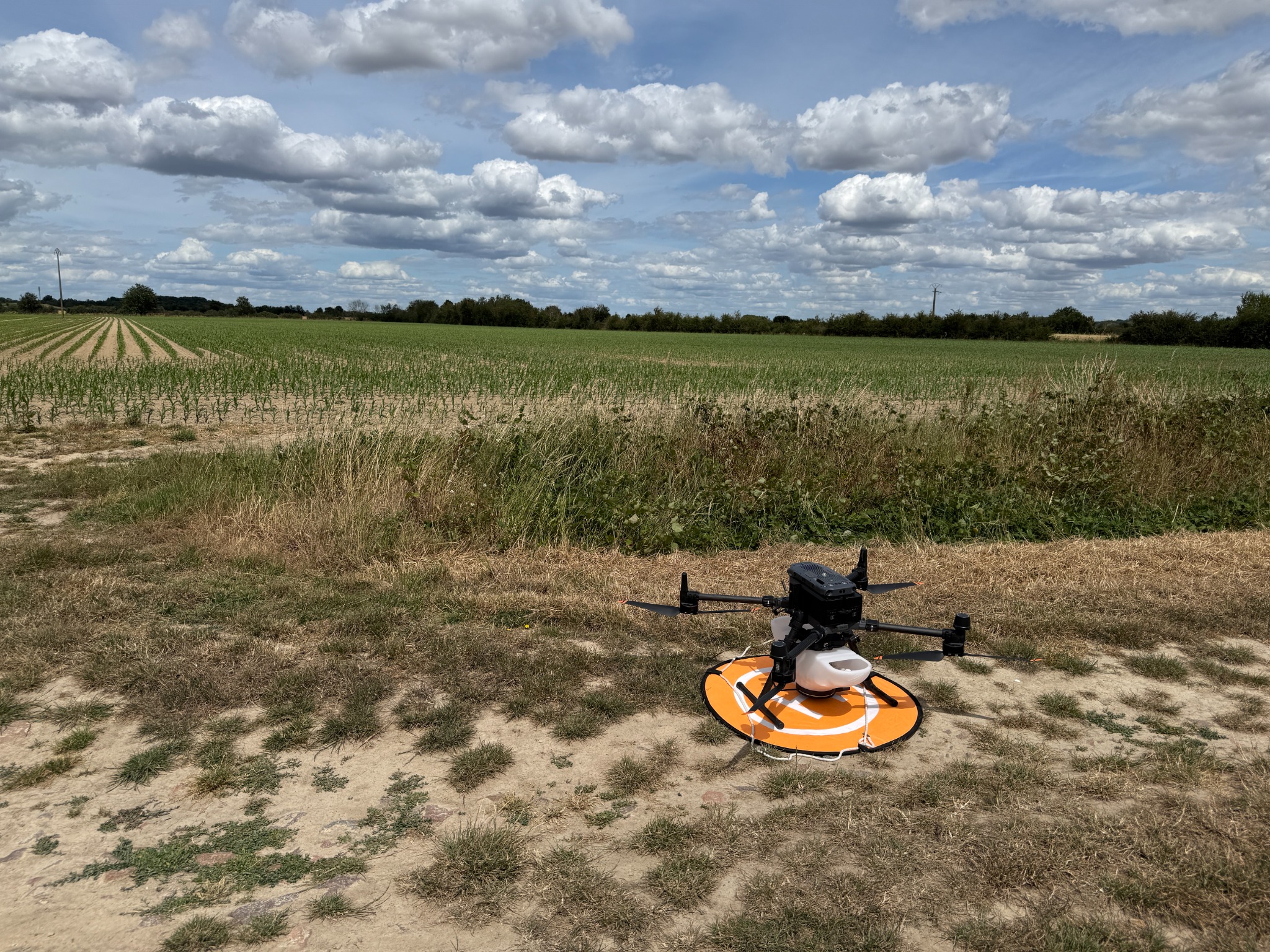 Drone utilisé pour une intervention de lutte biologique